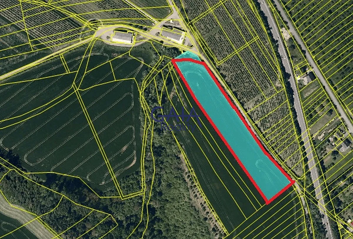 Prodej pole 13365 m²